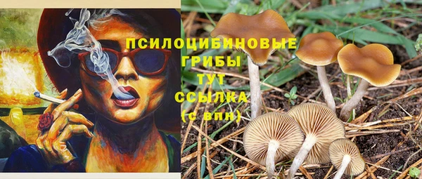 кокаин Заволжск