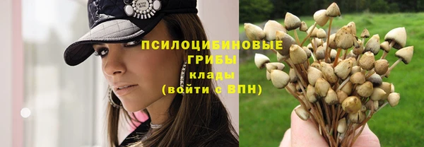 кокаин Заволжск