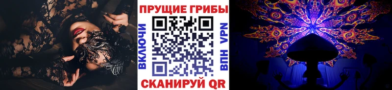 гидра зеркало  Ялта  Псилоцибиновые грибы мицелий 
